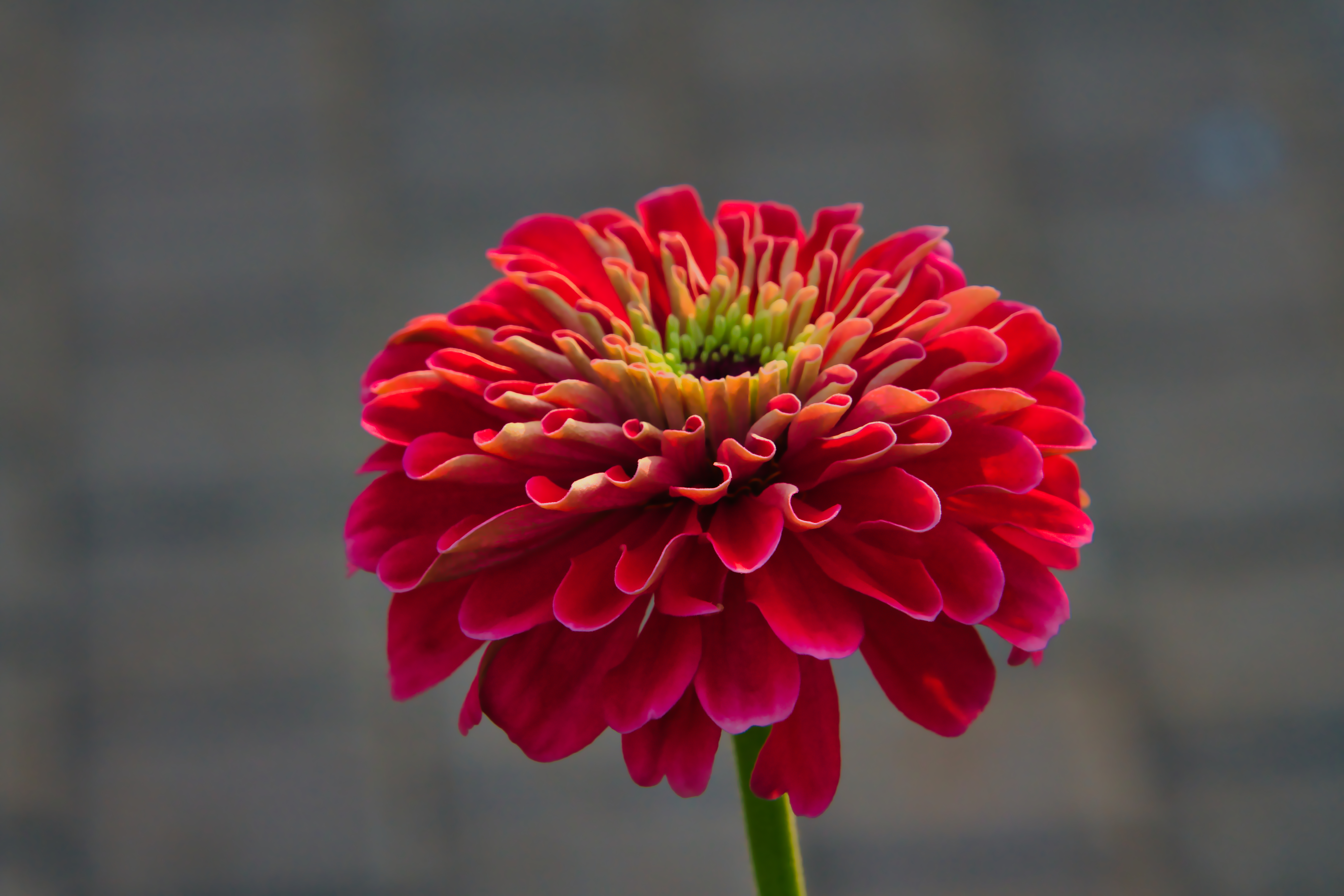 Mahboob Alam photography