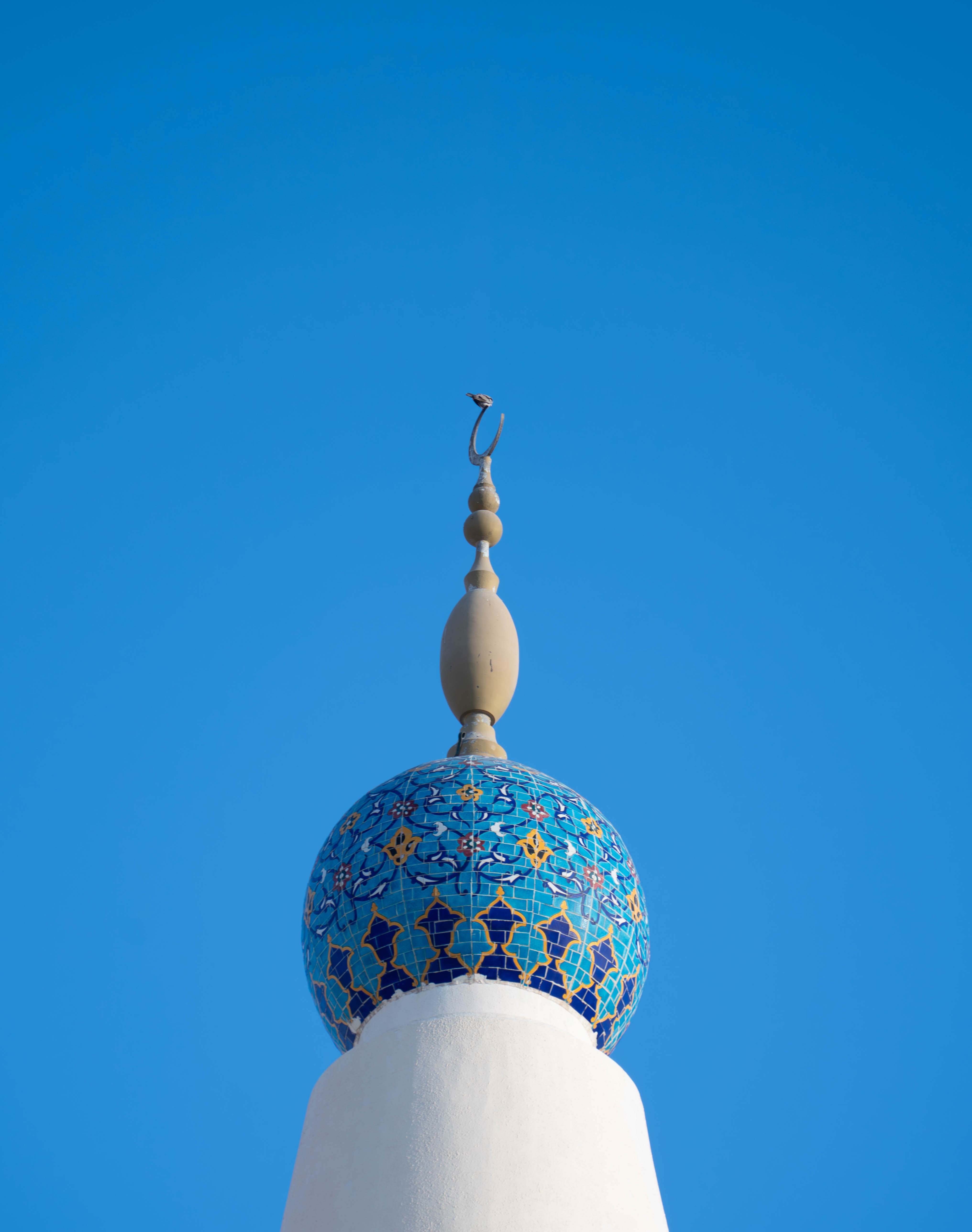 Mahboob Alam photography