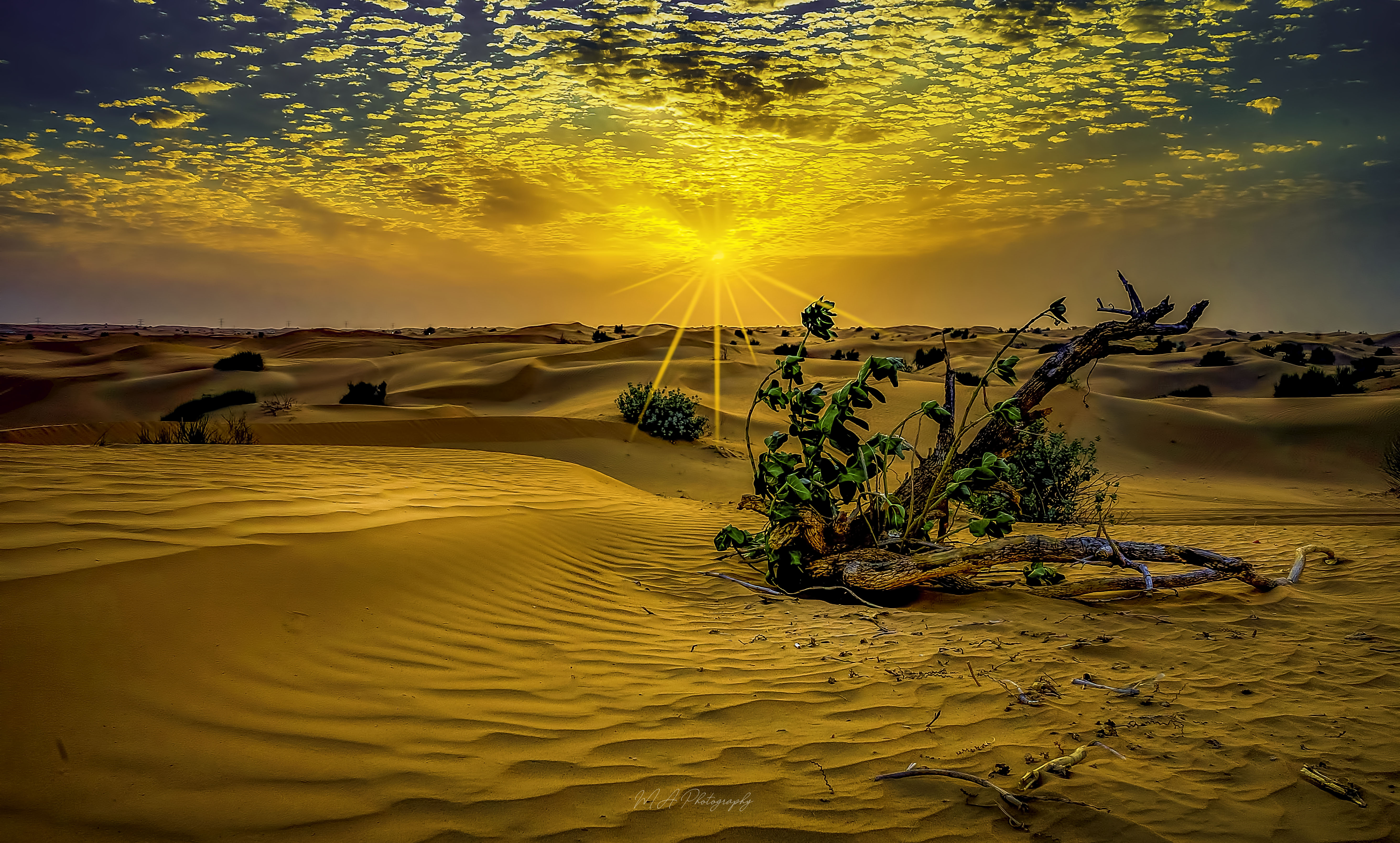 Mahboob Alam photography