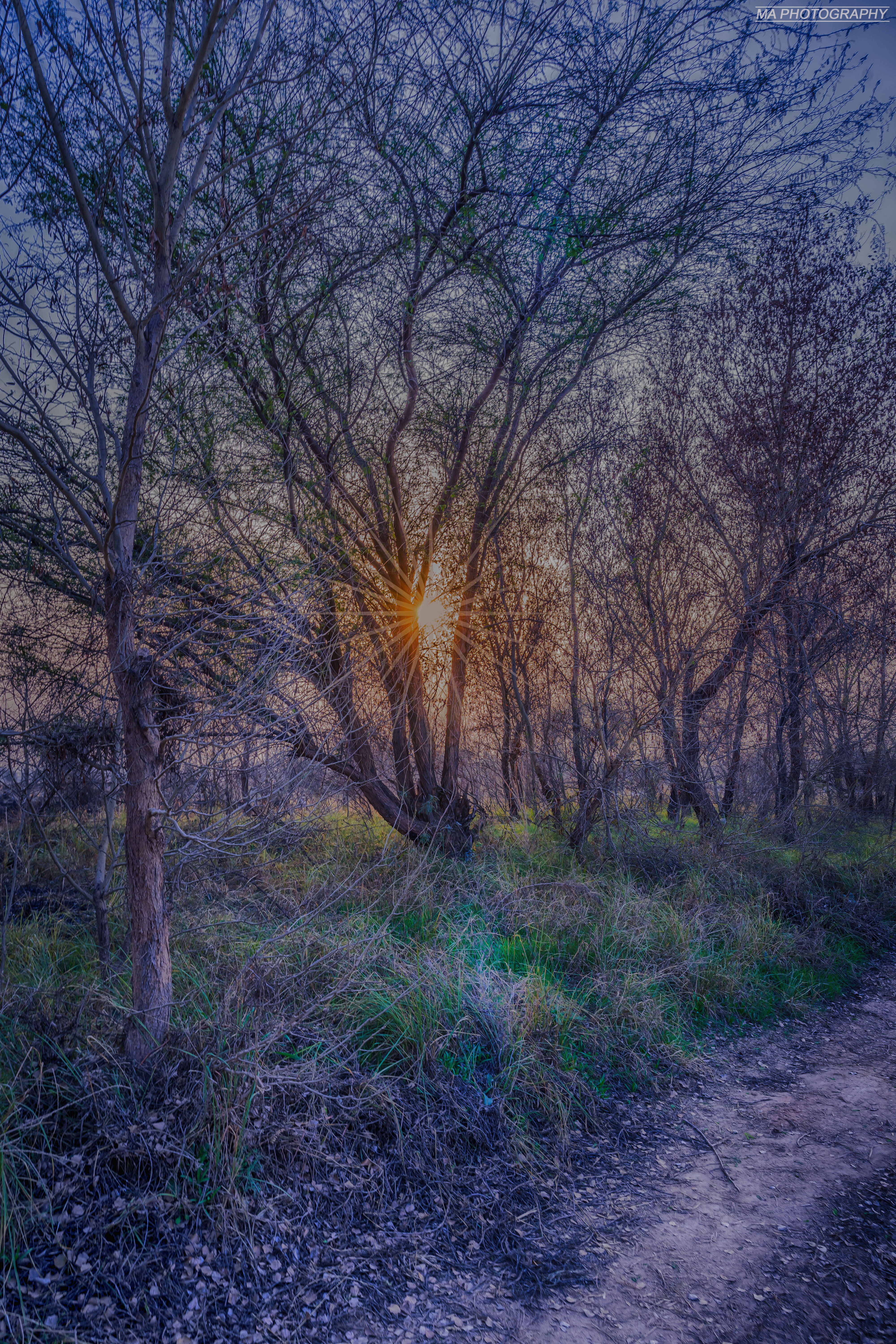 Mahboob Alam photography