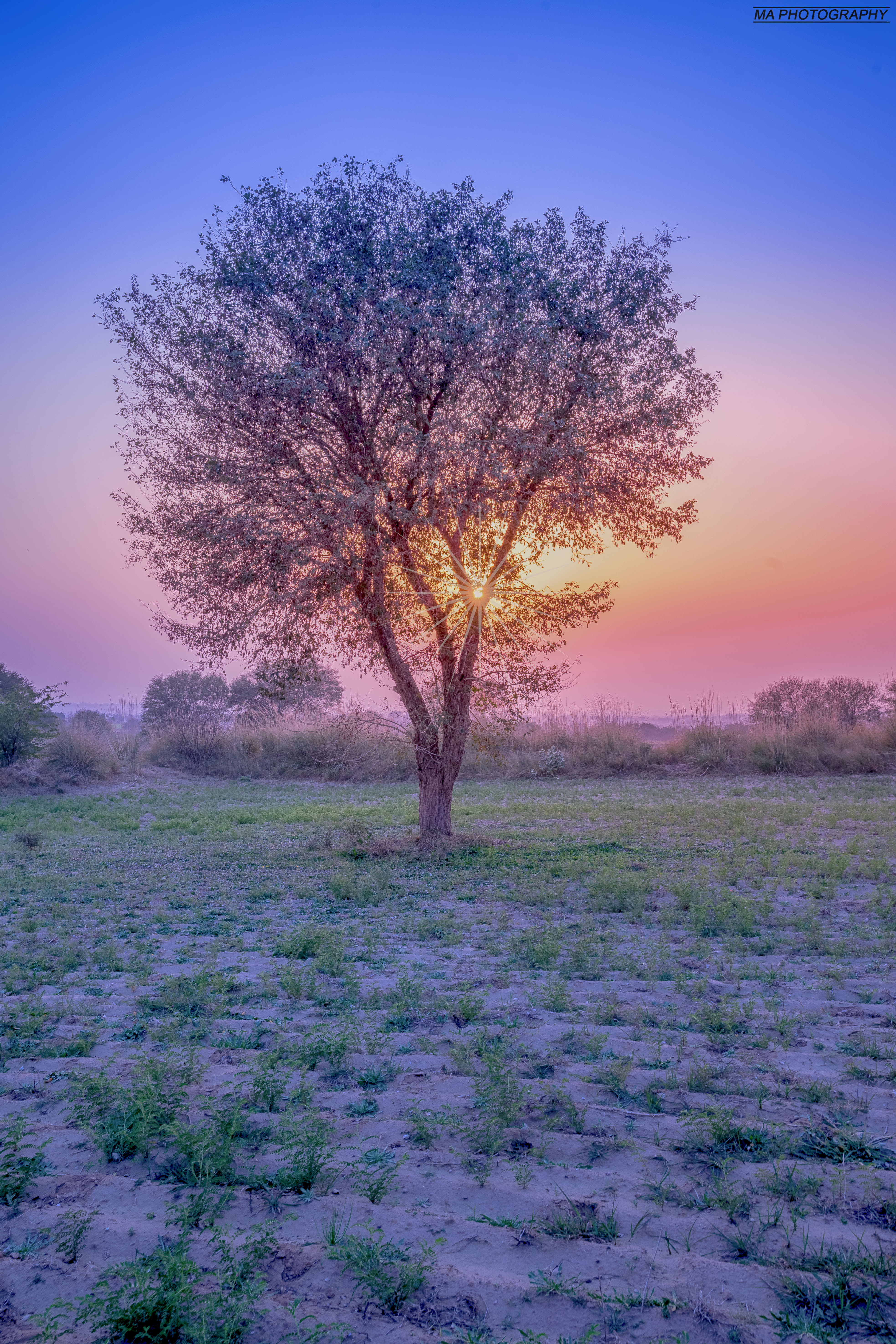 Mahboob Alam photography