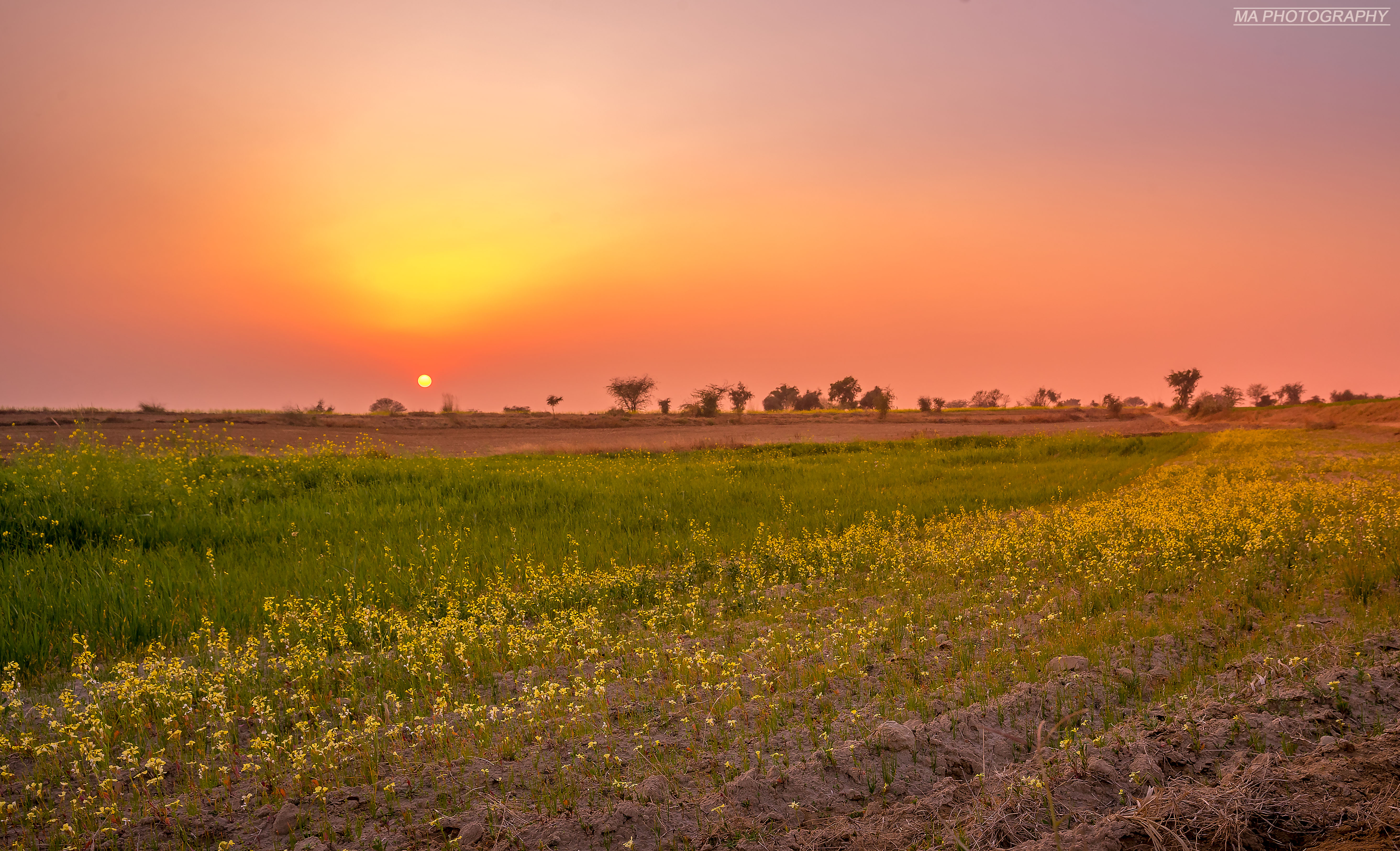 Mahboob Alam photography